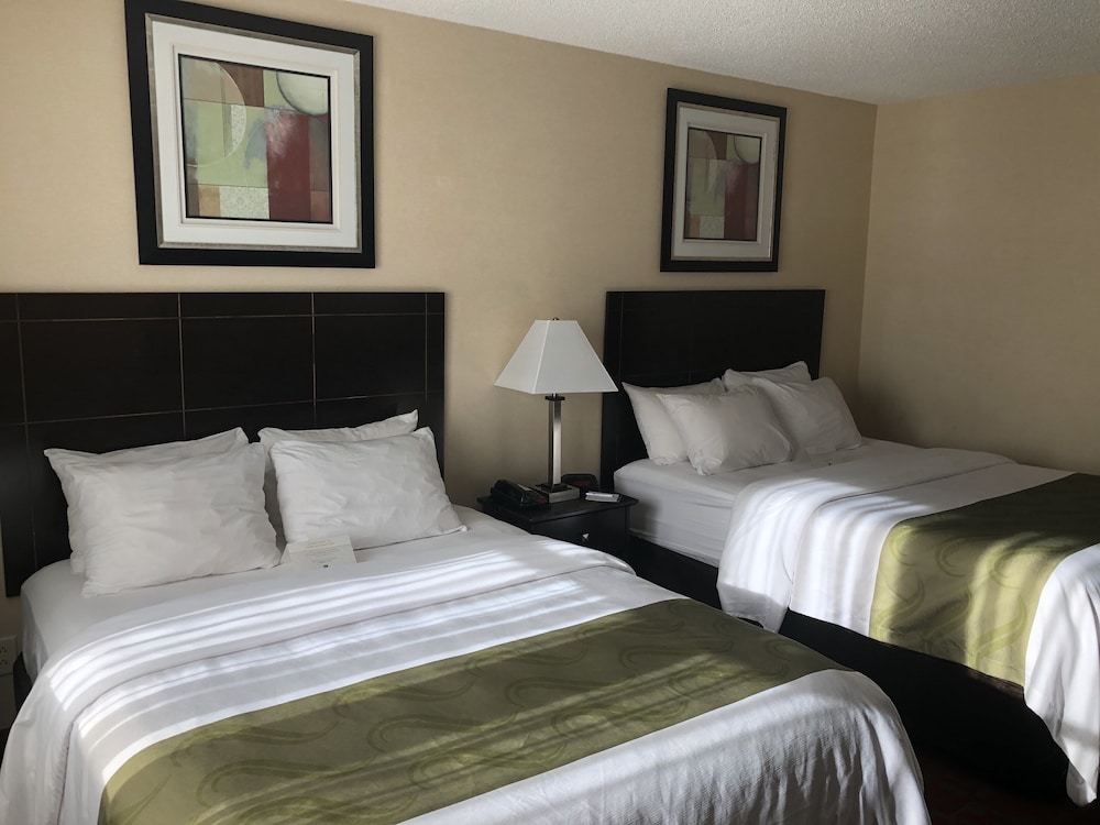 Room, 2 Queen Beds, Non Smoking, Pet Friendly photo 3
