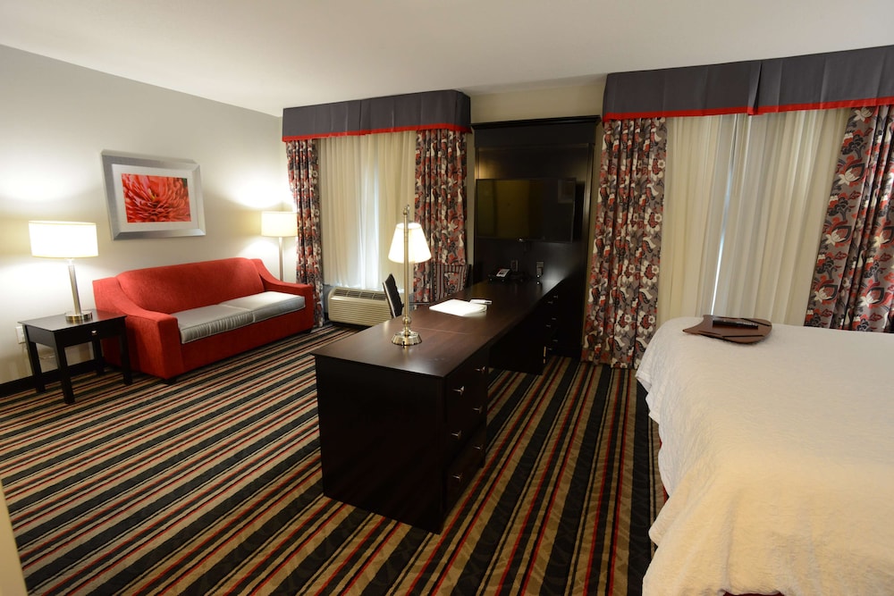 Studio Suite, 1 King Bed photo 1