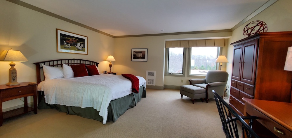 Room, 1 King Bed photo 1