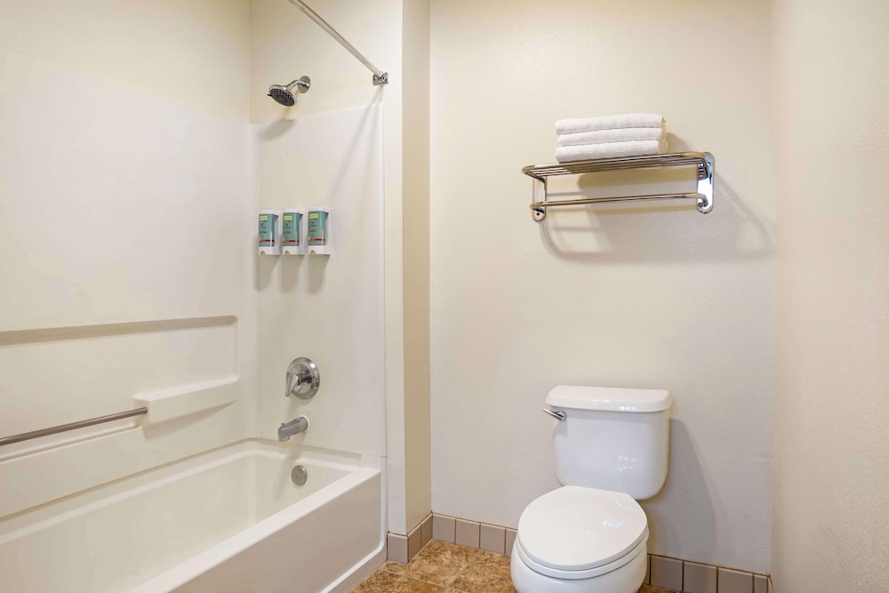 Standard Room, 1 King Bed, Non Smoking, Refrigerator & Microwave photo 3