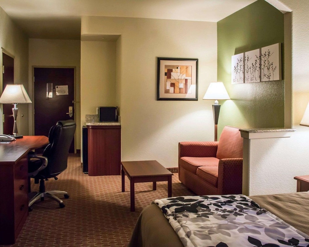 Suite, 1 King Bed with Sofa bed, Non Smoking - Photo 2