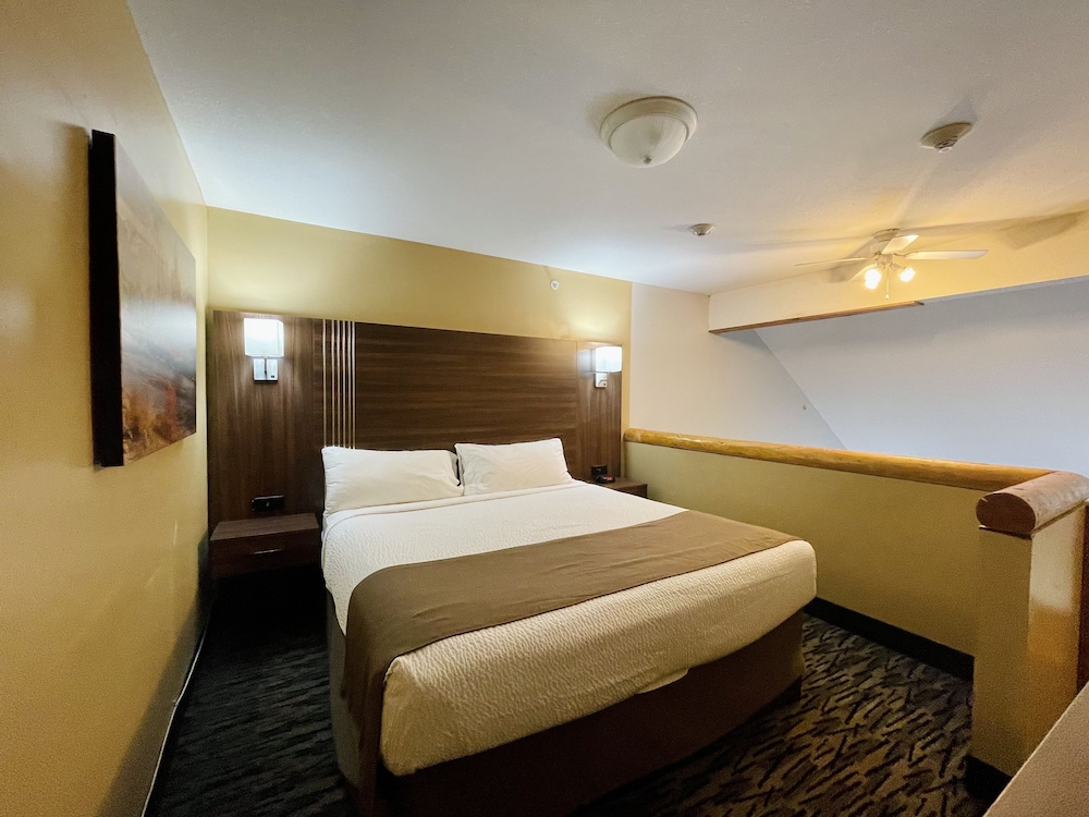 Family Suite (No Pets) - Photo 7