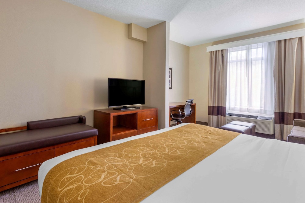 Suite, 1 King Bed with Sofa bed, Accessible, Non Smoking - Photo 6