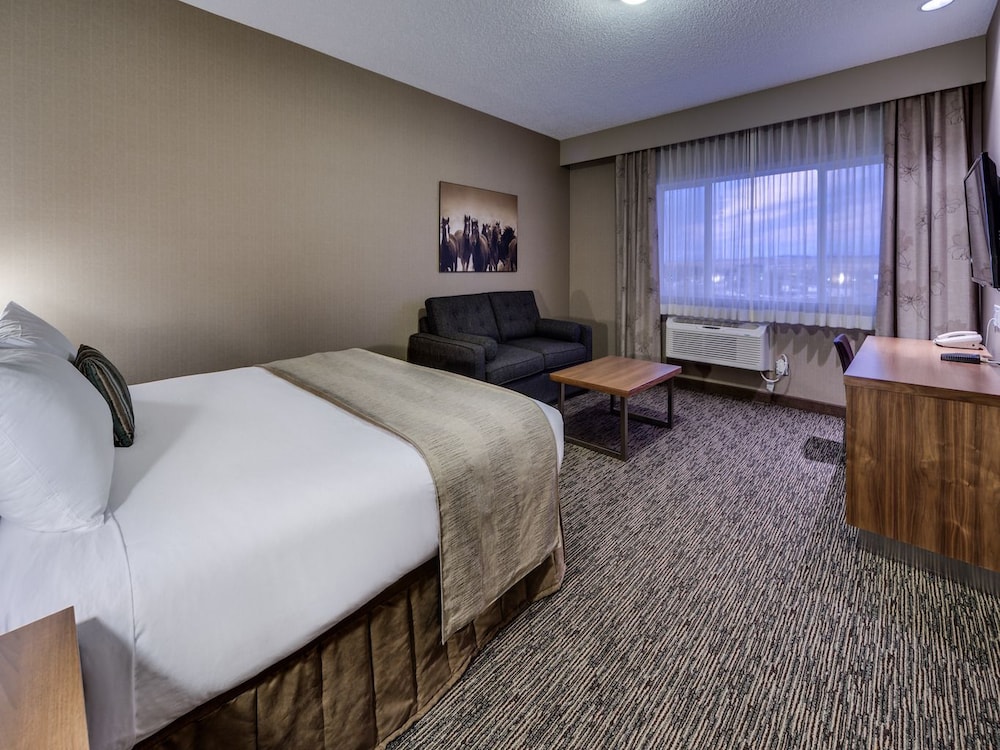 Elite Room, 1 King Bed photo 2