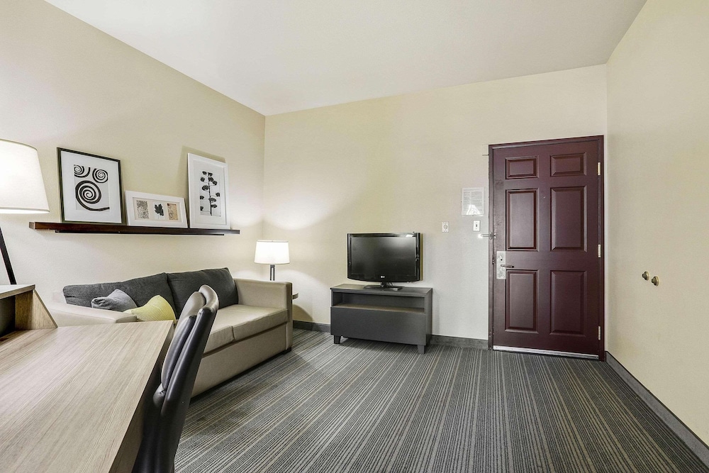 Studio Suite, 1 King Bed with Sofa bed, Non Smoking - Photo 4