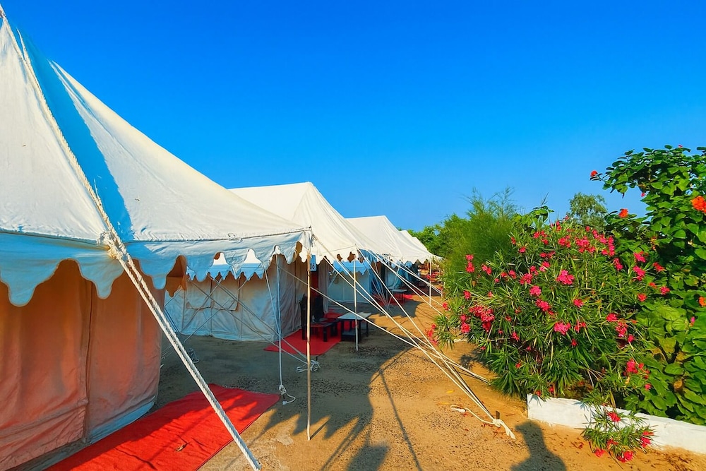 Basic Tent photo 3