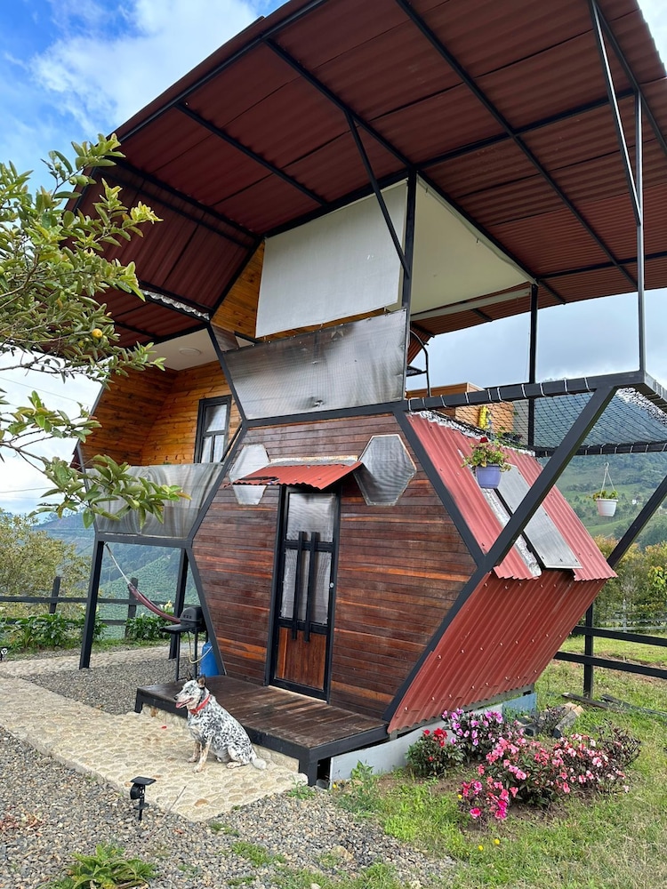 Deluxe Room, Park View