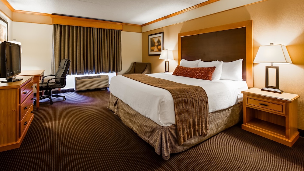 Suite, 1 King Bed, Non Smoking, Kitchenette (Shower Only;with Sofabed) photo 2