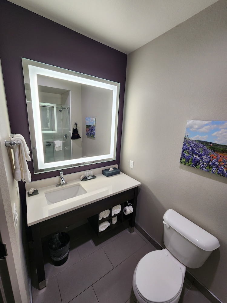 Deluxe Suite, 1 King Bed, Non Smoking photo 2