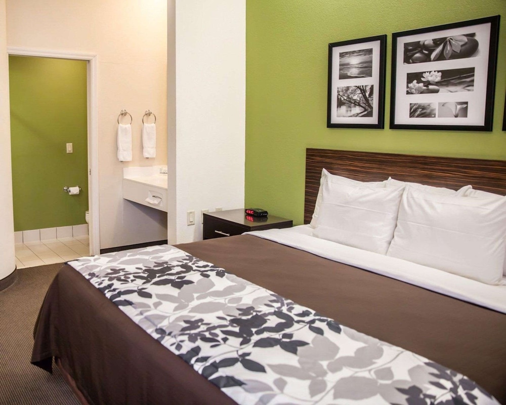 Standard Room, 1 King Bed, Non Smoking - Photo 6