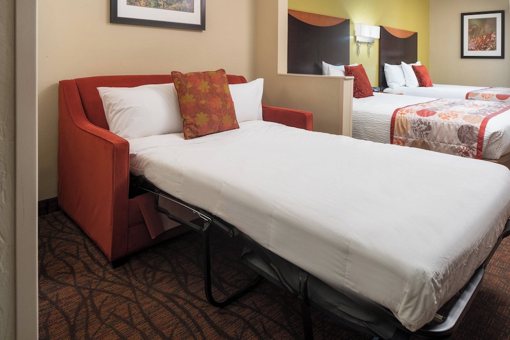 Room, Multiple Beds (Mobility/Hearing Access, Roll-In Shwr)