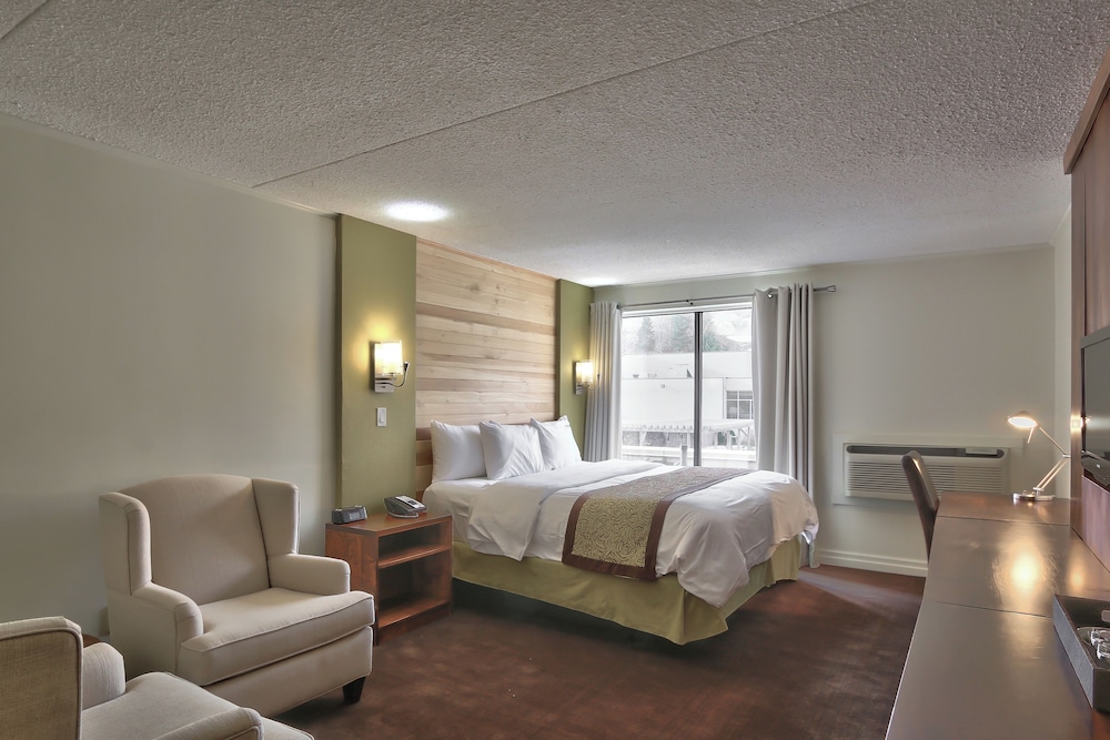 Room, 1 King Bed photo 2