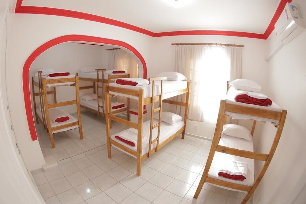Shared Dormitory, Mixed Dorm photo 3