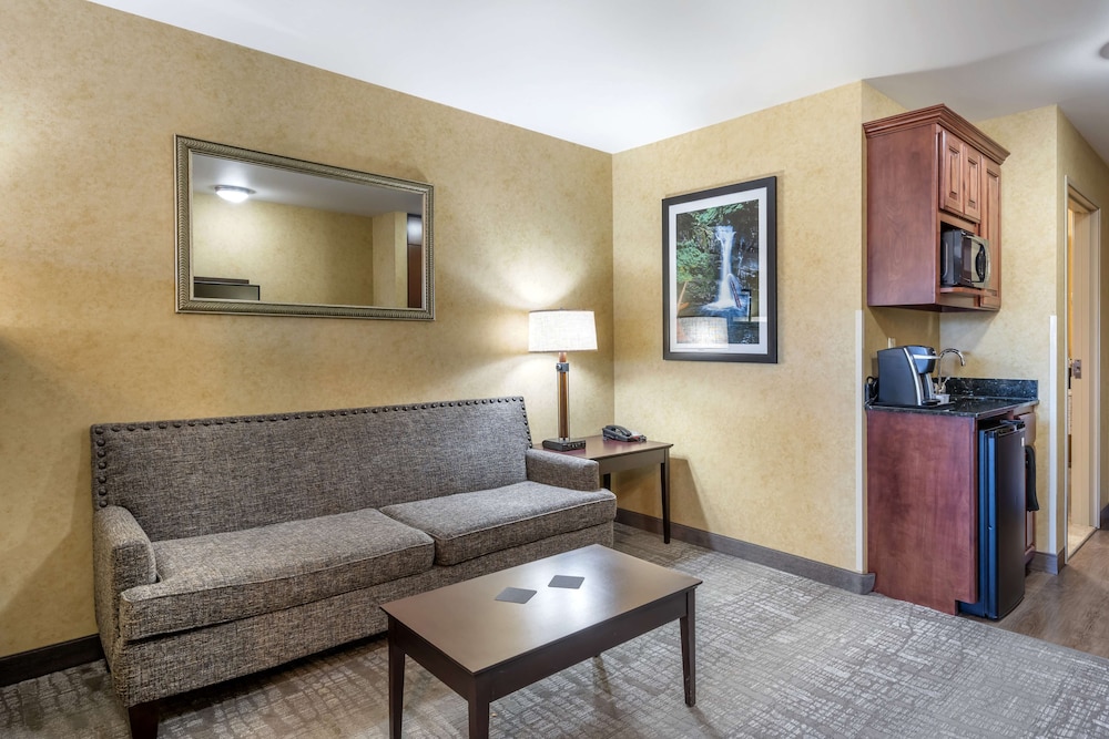 Suite, 1 King Bed, Non Smoking, Refrigerator & Microwave - Photo 5