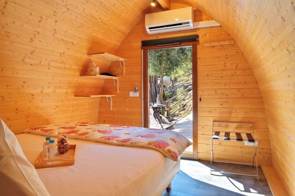 Standard Cabin, 1 Queen Bed photo 3