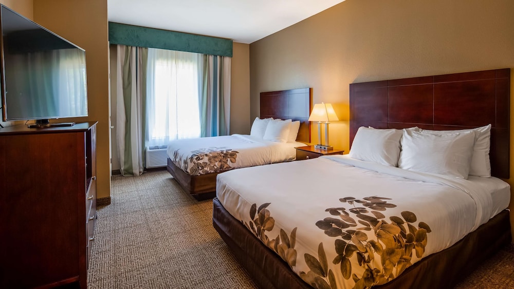 Suite, Multiple Beds, Accessible, Non Smoking (with Sofabed)