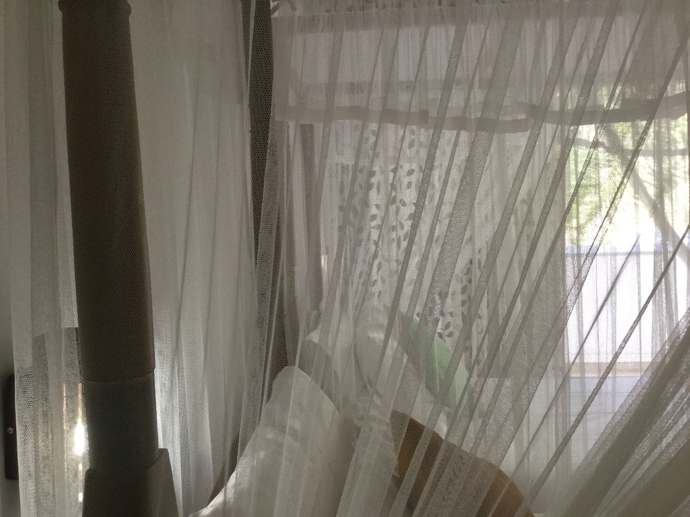 Deluxe Double or Twin Room photo 3