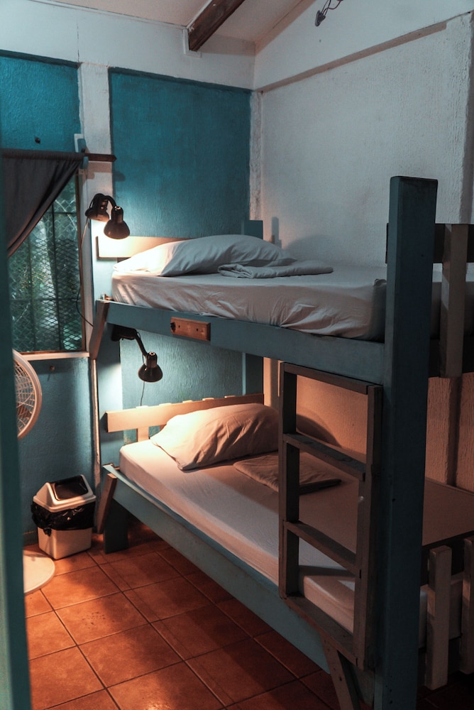 Basic Shared Dormitory photo 1