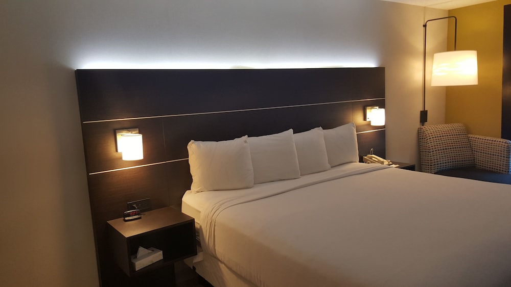 Standard Room, 1 King Bed, Roll-in Shower (Communications Accessible) - Photo 2