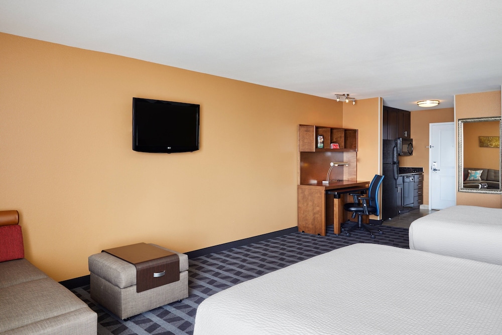 Studio Suite, Multiple Beds - Photo 4
