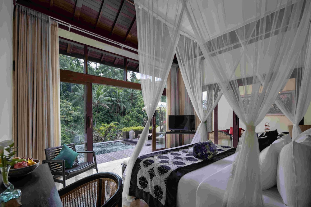 Jungle Pool View