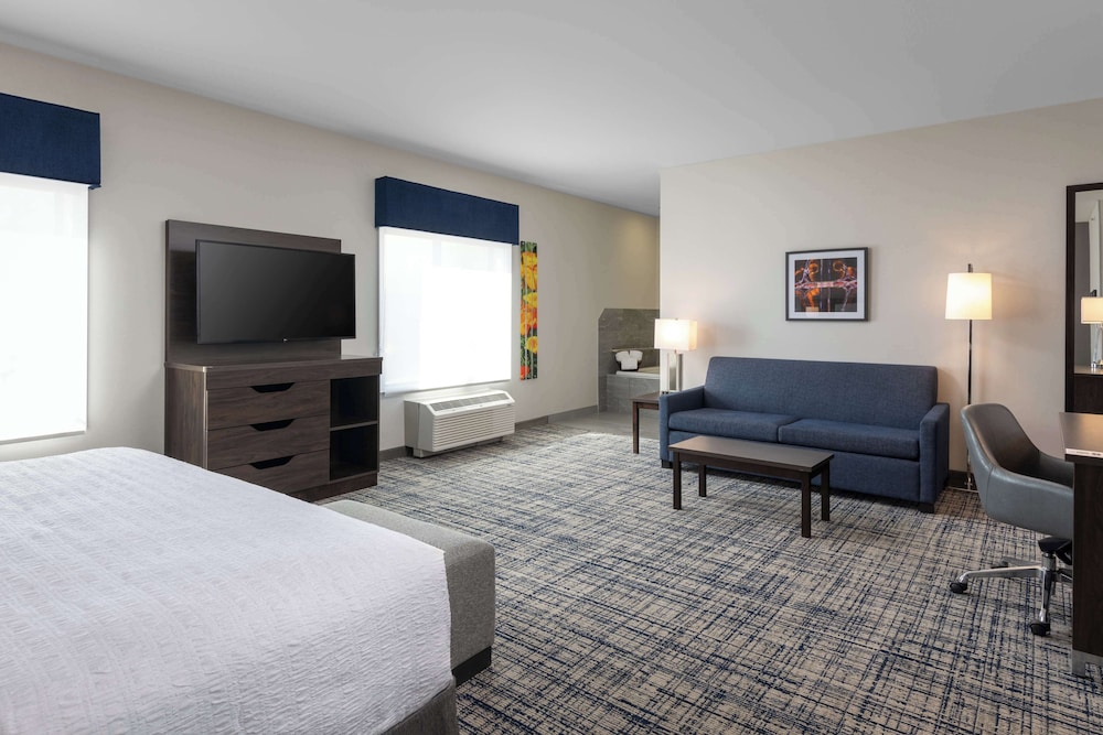 Room, 1 King Bed, Accessible, Non Smoking (Whirlpool) - Photo 1