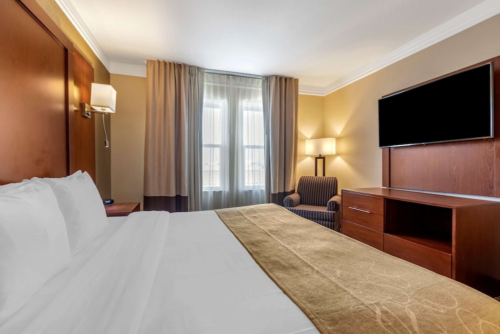 Executive Suite, 1 King Bed with Sofa bed, Non Smoking