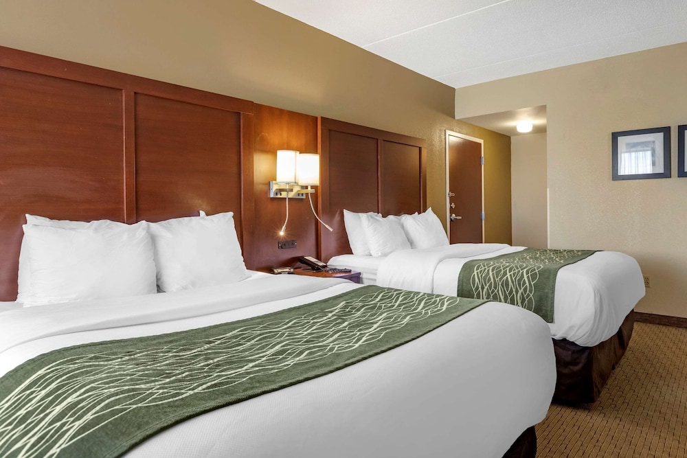 Suite, Multiple Beds, Non Smoking photo 1