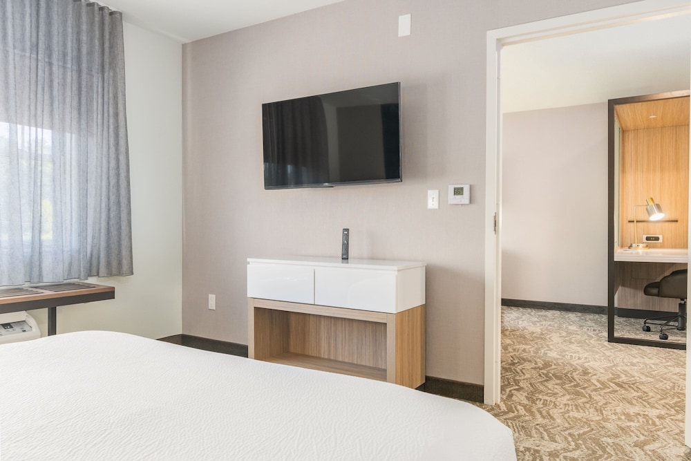 Suite, 1 Bedroom - Photo 4