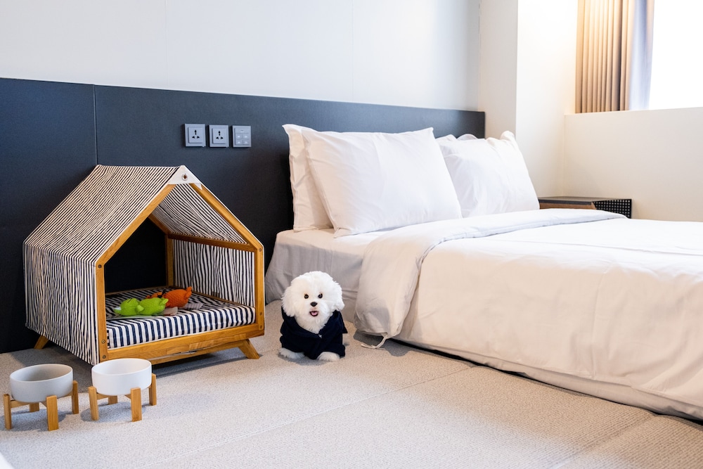 Bark twin (Stay with your dog only under 15kg) photo 2