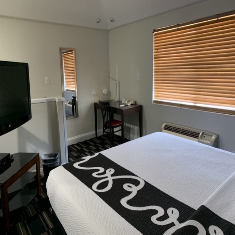 Suite, 1 King Bed with Sofa bed photo 2