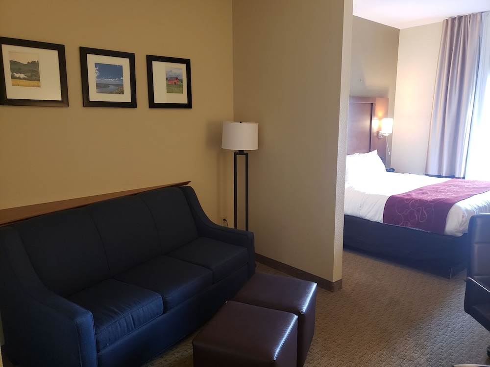 Suite, 1 King Bed with Sofa bed - Photo 2
