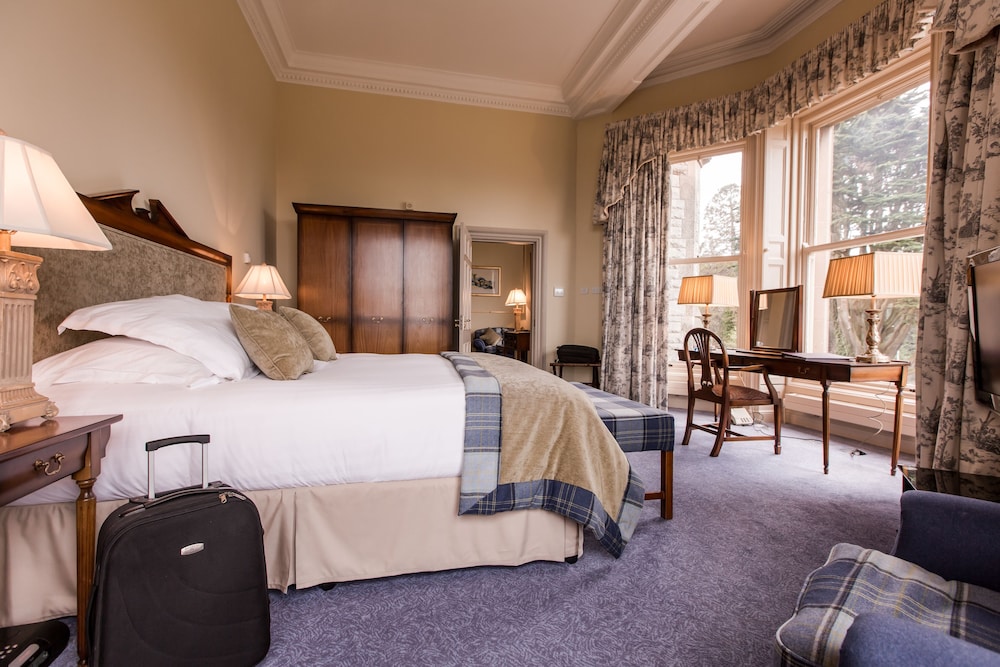 Junior Double Room, 1 King Bed