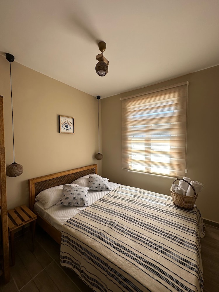 Design Suite photo 1