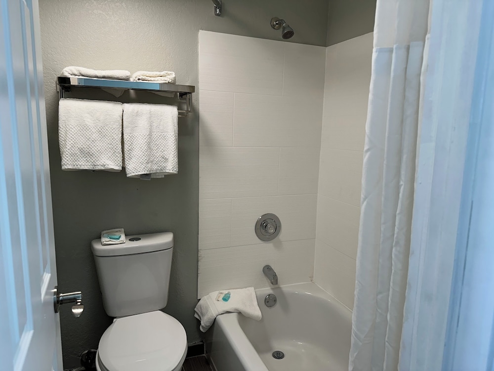 Suite, 1 King Bed, Accessible, Non Smoking (Roll-In Shower) - Photo 8