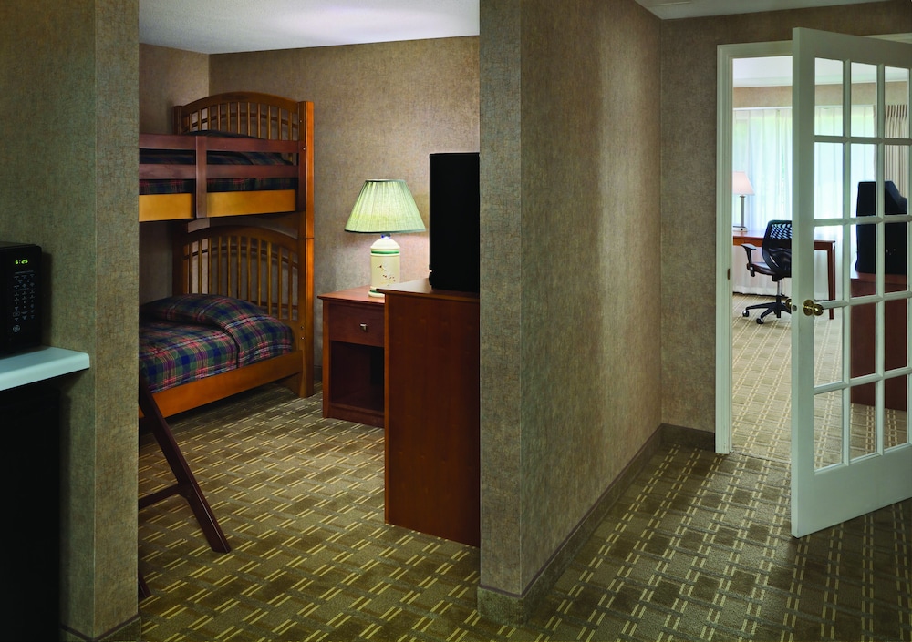 Deluxe Room, Multiple Beds (Kids Room) - Photo 1