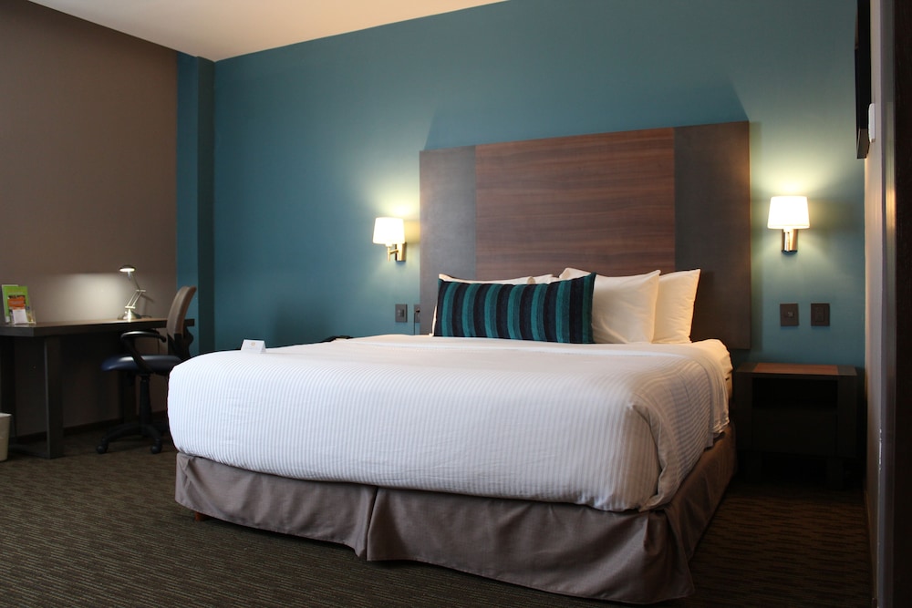 Room, 1 King Bed, Accessible (Mobility Accessible) photo 2