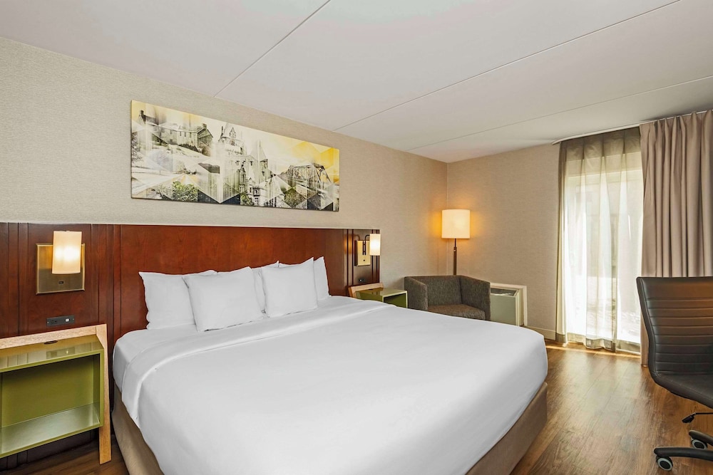 Room, 1 King Bed, Non Smoking, Ground Floor, Pet-Friendly