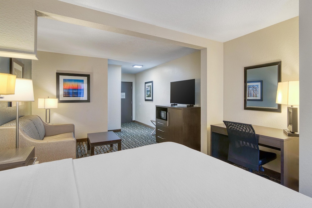 Suite, 1 King Bed, Non Smoking, Refrigerator & Microwave (with Sofabed) - Photo 2