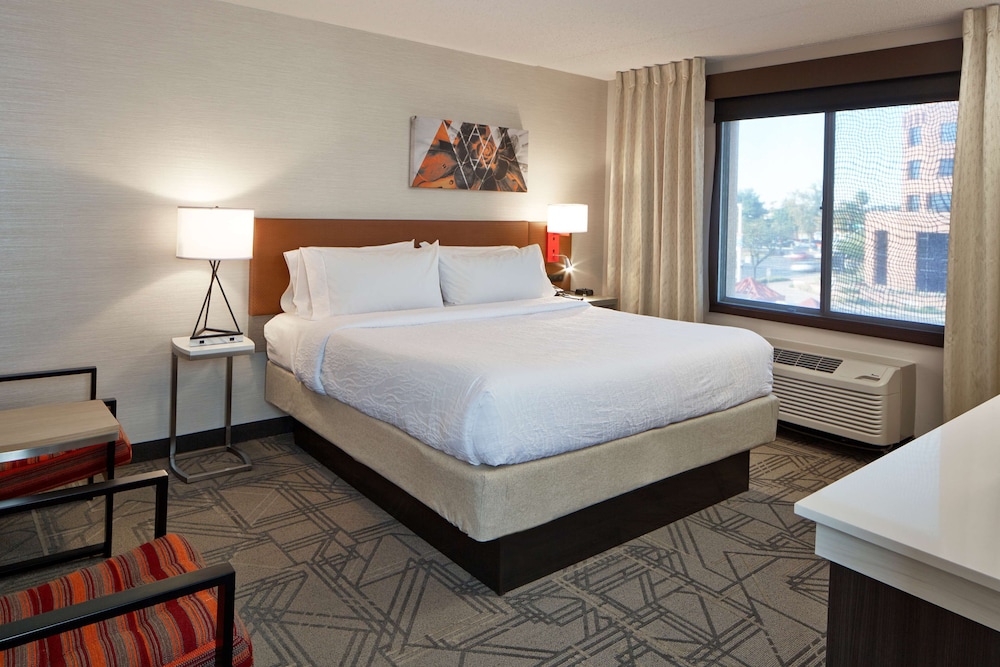 Suite, 1 King Bed, Accessible - Photo 5