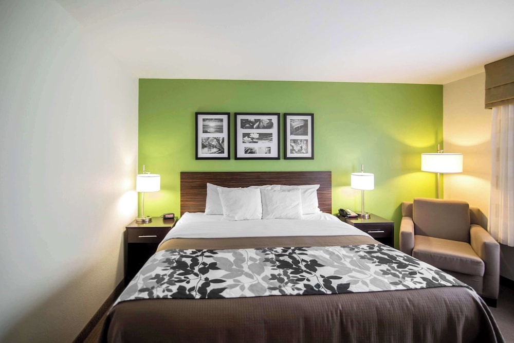 Room, 1 King Bed, Accessible, Non Smoking - Photo 4