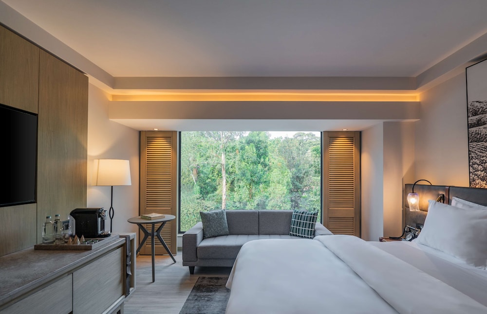Serene King Accessible Guest Room - Photo 3