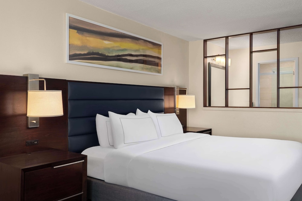 Suite, 1 King Bed with Sofa bed