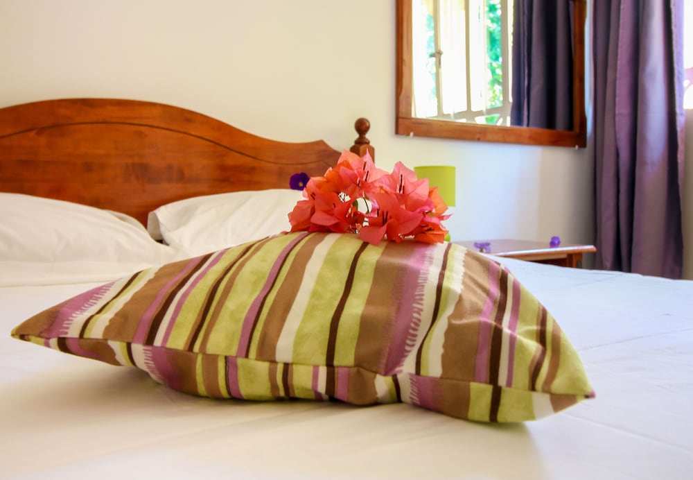 Comfort Studio, 1 Bedroom photo 3