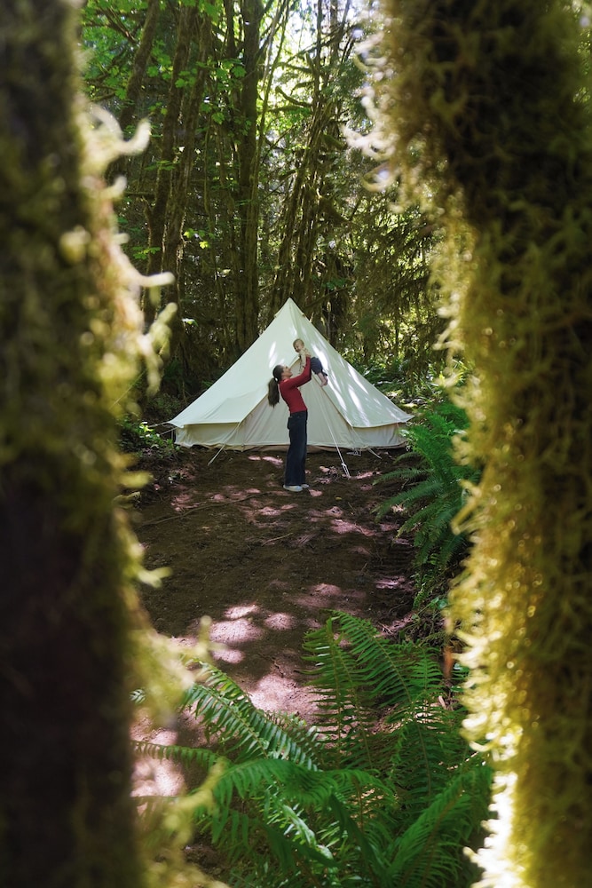 Tent photo 3