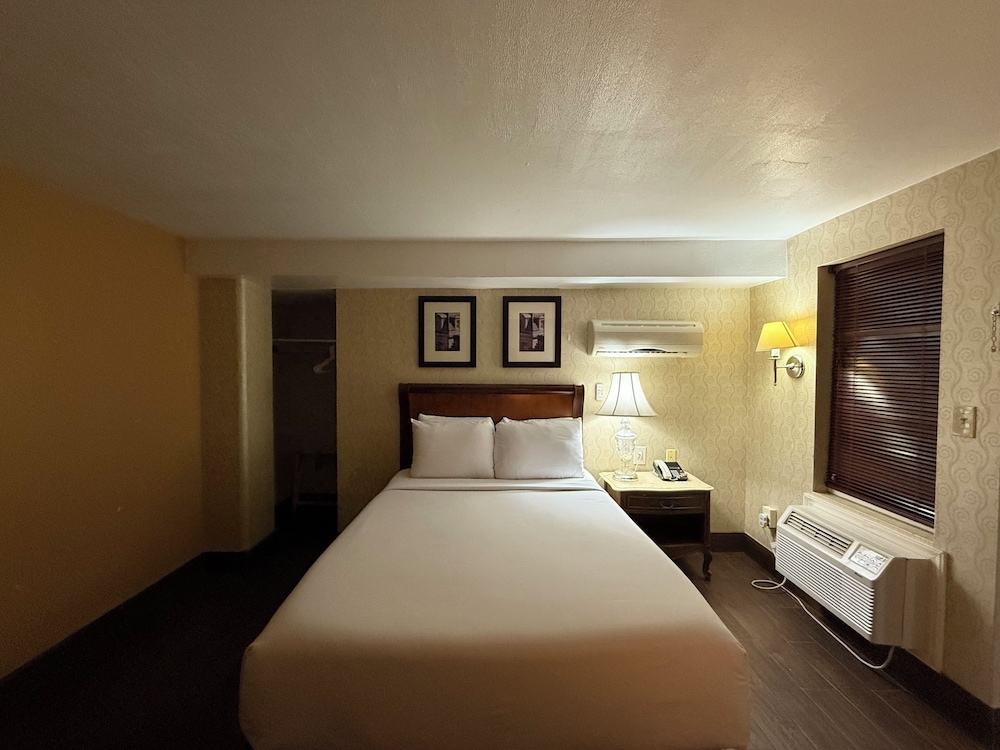 Basic Room, 1 Double Bed photo 3