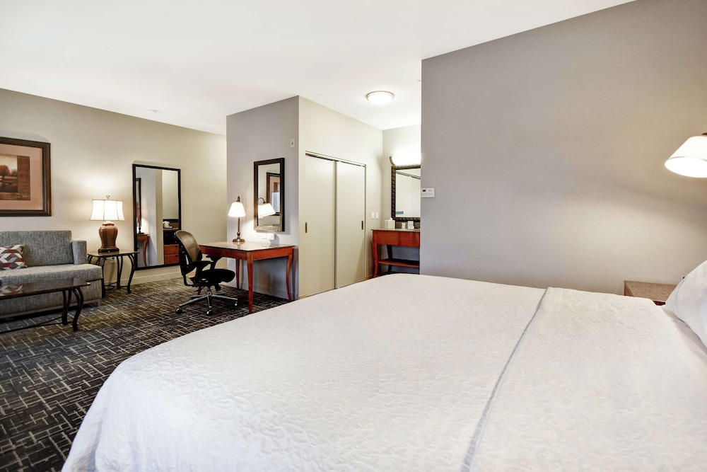 Suite, 1 King Bed, Accessible, Non Smoking photo 3