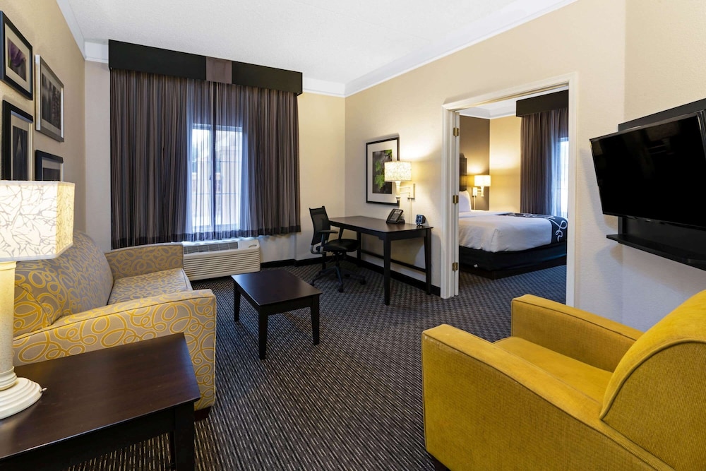 Suite, 1 Bedroom, Non Smoking, Pool View (1King Bed) - Photo 4