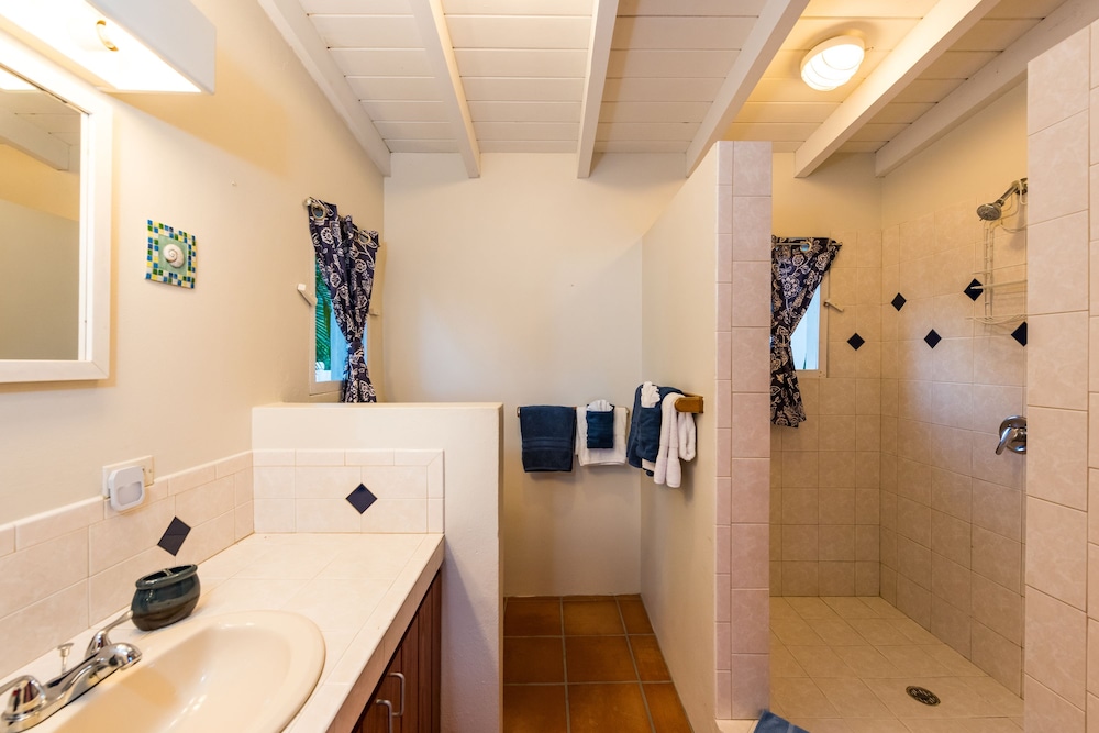 Villa, 2 Bedrooms, Kitchen, Ocean View (Sunset East) photo 3