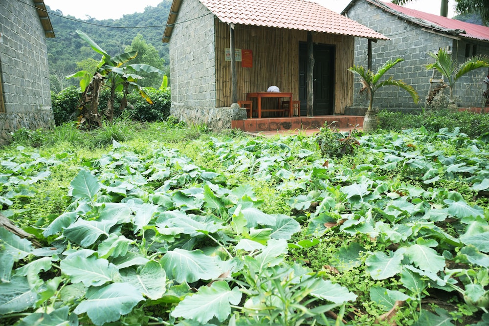 Bungalow, Mountain View photo 2